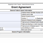 IRS Form 13981 - VITA Grant Agreement
