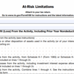 IRS Form 6198 - At-Risk Limitations