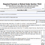IRS Form 8752 - Required Payment or Refund Under Section 7519