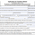 IRS Form 1045 - Application for Tentative Refund