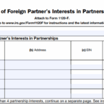 IRS Form 1120-F (Schedule P) - List of Foreign Partner's Interests in Partnerships