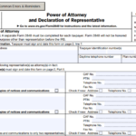 IRS Form 2848 - Power of Attorney and Declaration of Representative