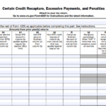 IRS Form 4255 - Certain Credit Recapture, Excessive Payments, and Penalties