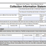 IRS Form 433-F - Collection Information Statement