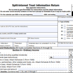 IRS Form 5227 - Split-Interest Trust Information Return