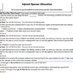 IRS Form 8379 - Injured Spouse Allocation