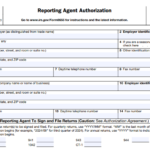 IRS Form 8655 - Reporting Agent Authorization
