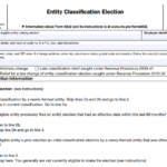 IRS Form 8832 - Entity Classification Election