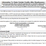 IRS Form 8862 - Information To Claim Certain Credits After Disallowance