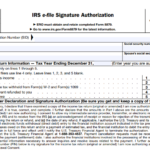 IRS Form 8879 - IRS e-file Signature Authorization