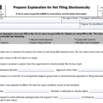 IRS Form 8948 - Preparer Explanation for Not Filing Electronically