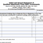 IRS Form 8997 - Initial and Annual Statement of Qualified Opportunity Fund (QOF) Investments