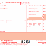 IRS Form W-2VI - U.S. Virgin Islands Wage and Tax Statement